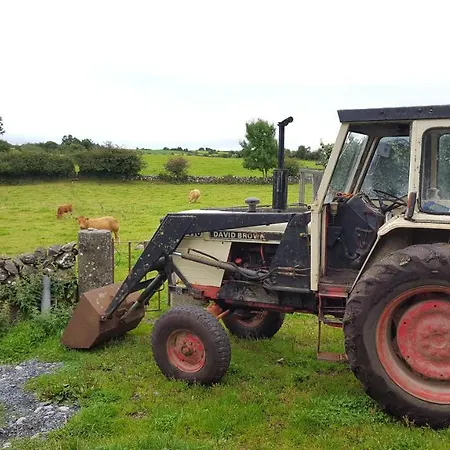 Carragh * Gort